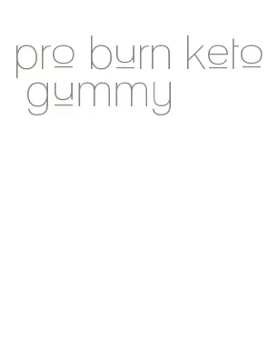 pro burn keto gummy