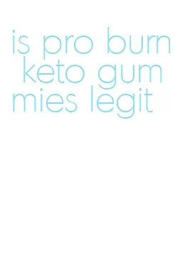 is pro burn keto gummies legit