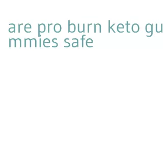 are pro burn keto gummies safe