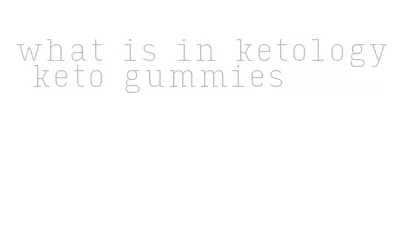 what is in ketology keto gummies