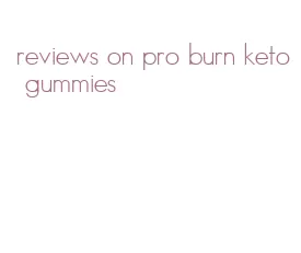 reviews on pro burn keto gummies