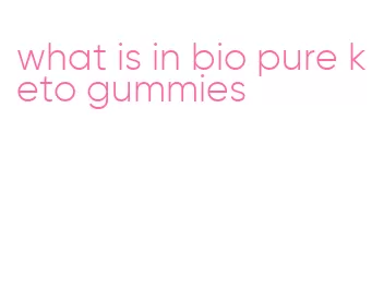 what is in bio pure keto gummies