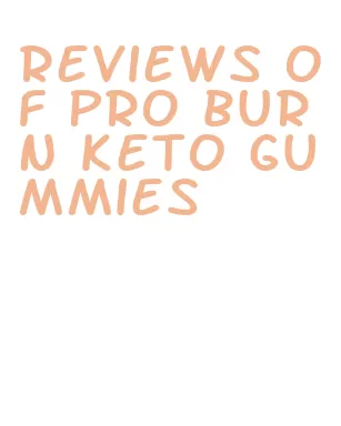 reviews of pro burn keto gummies