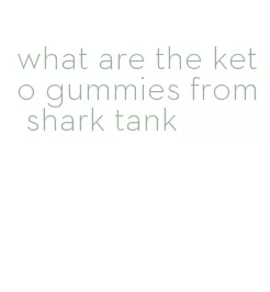 what are the keto gummies from shark tank