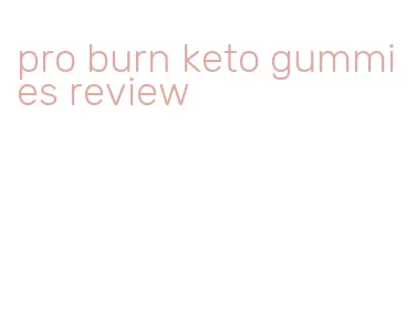 pro burn keto gummies review