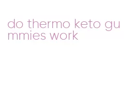 do thermo keto gummies work