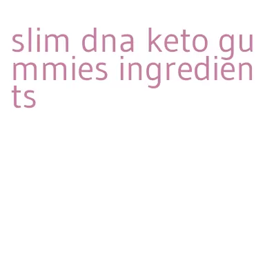 slim dna keto gummies ingredients