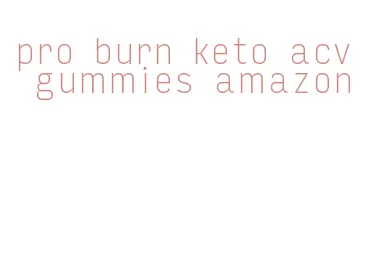 pro burn keto acv gummies amazon
