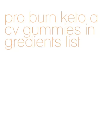pro burn keto acv gummies ingredients list