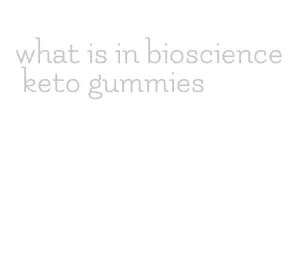 what is in bioscience keto gummies