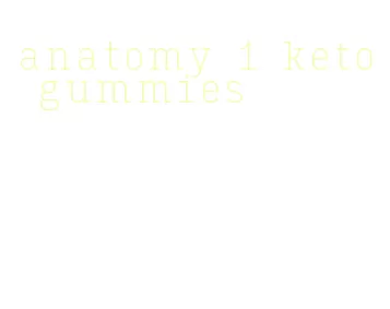anatomy 1 keto gummies