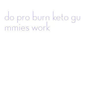 do pro burn keto gummies work