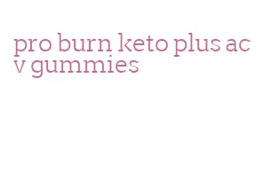 pro burn keto plus acv gummies