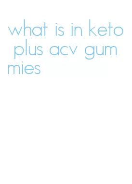 what is in keto plus acv gummies