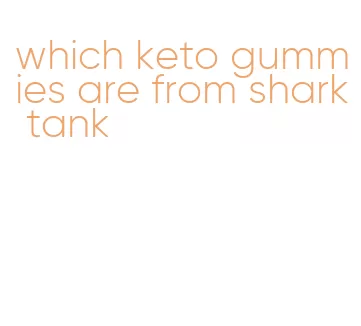 which keto gummies are from shark tank