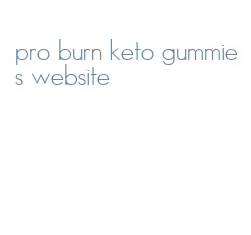 pro burn keto gummies website