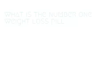 what is the number one weight loss pill