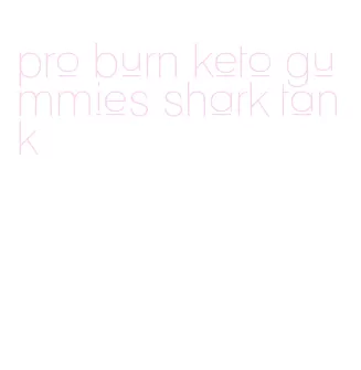 pro burn keto gummies shark tank