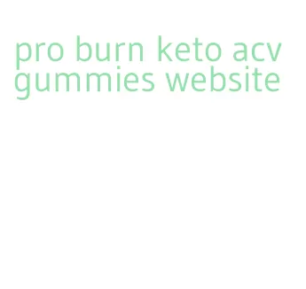 pro burn keto acv gummies website