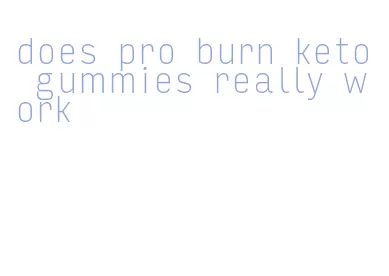 does pro burn keto gummies really work
