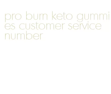 pro burn keto gummies customer service number