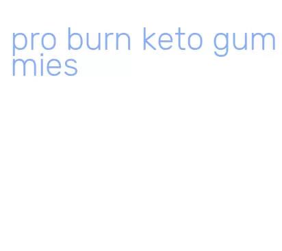 pro burn keto gummies