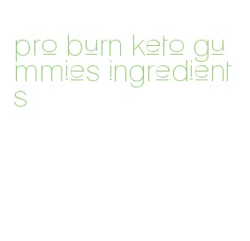 pro burn keto gummies ingredients
