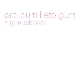pro burn keto gummy reviews