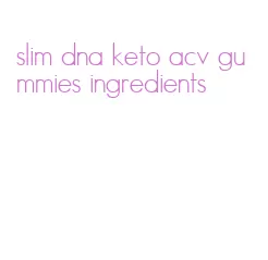 slim dna keto acv gummies ingredients