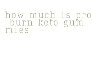 how much is pro burn keto gummies