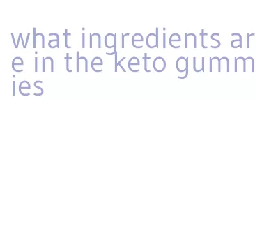 what ingredients are in the keto gummies