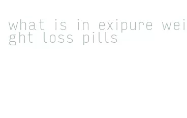 what is in exipure weight loss pills