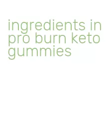 ingredients in pro burn keto gummies