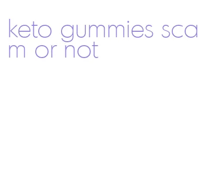 keto gummies scam or not