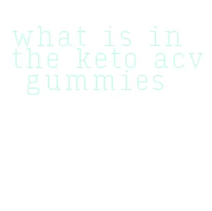 what is in the keto acv gummies