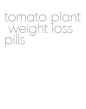 tomato plant weight loss pills