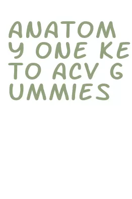 anatomy one keto acv gummies