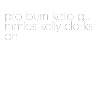 pro burn keto gummies kelly clarkson