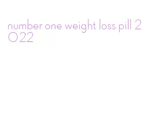 number one weight loss pill 2022