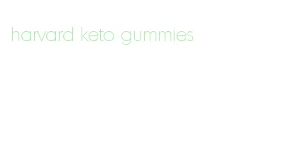 harvard keto gummies