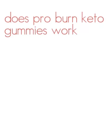 does pro burn keto gummies work